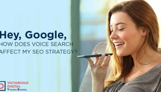 voice-search-banner voice search result