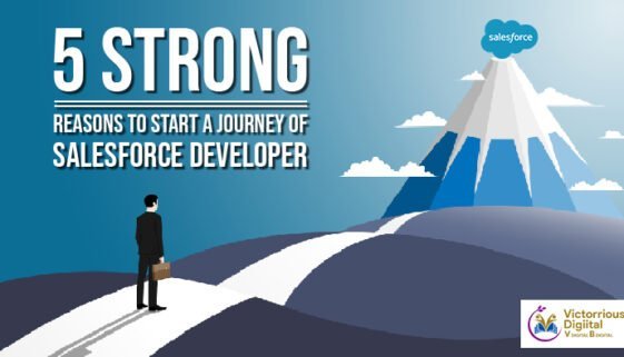 salesforce training 1 salesforce training in pune